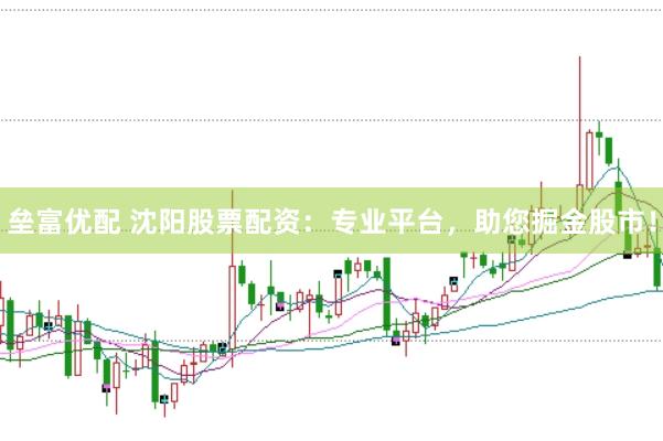 垒富优配 沈阳股票配资：专业平台，助您掘金股市！