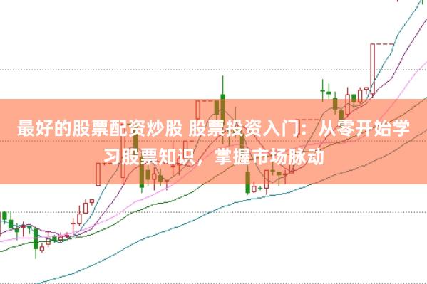 最好的股票配资炒股 股票投资入门：从零开始学习股票知识，掌握市场脉动