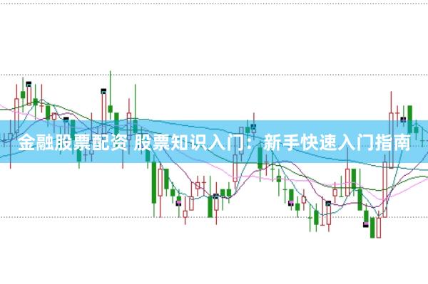 金融股票配资 股票知识入门：新手快速入门指南