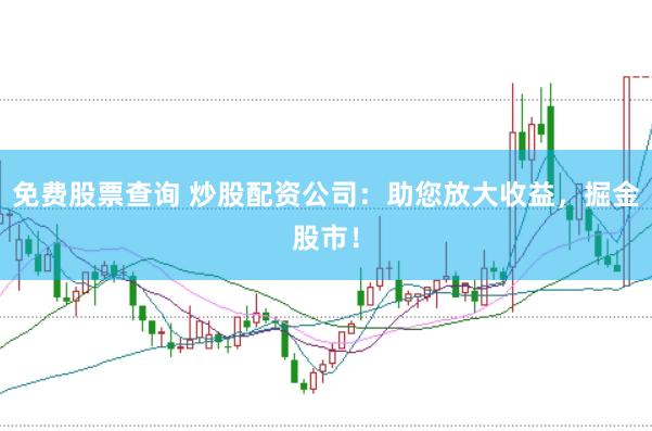 免费股票查询 炒股配资公司：助您放大收益，掘金股市！