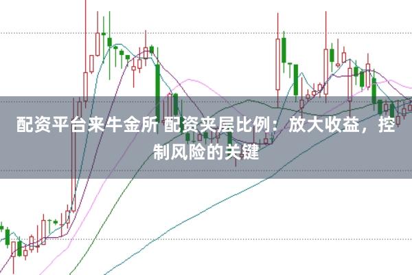 配资平台来牛金所 配资夹层比例：放大收益，控制风险的关键