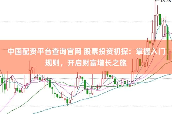 中国配资平台查询官网 股票投资初探：掌握入门规则，开启财富增长之旅