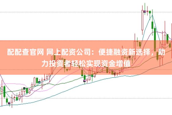 配配查官网 网上配资公司：便捷融资新选择，助力投资者轻松实现资金增值