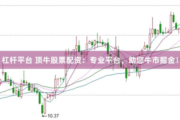 杠杆平台 顶牛股票配资：专业平台，助您牛市掘金！