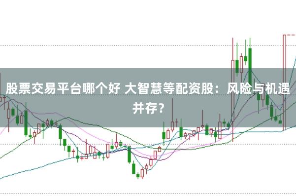 股票交易平台哪个好 大智慧等配资股：风险与机遇并存？