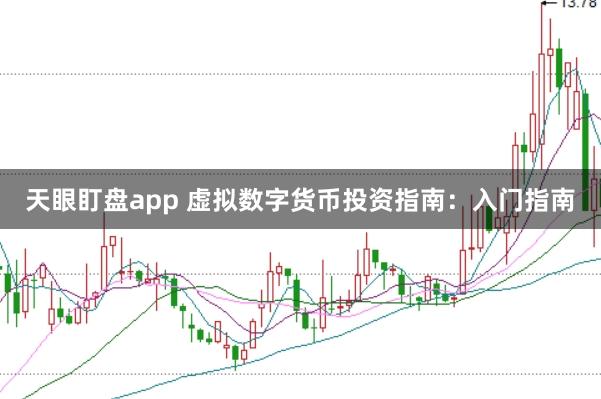 天眼盯盘app 虚拟数字货币投资指南：入门指南
