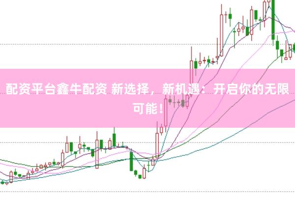 配资平台鑫牛配资 新选择，新机遇：开启你的无限可能！