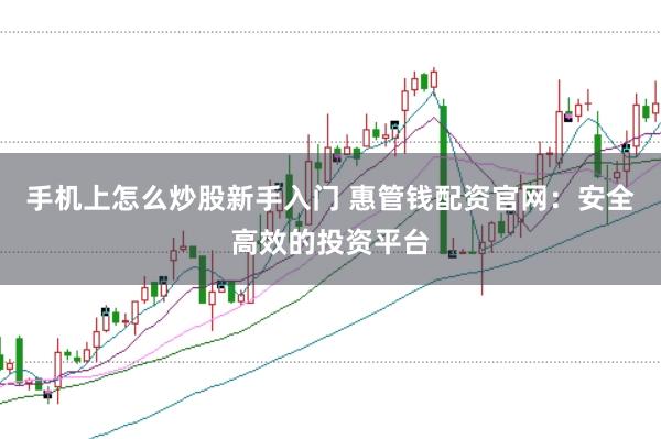 手机上怎么炒股新手入门 惠管钱配资官网：安全高效的投资平台