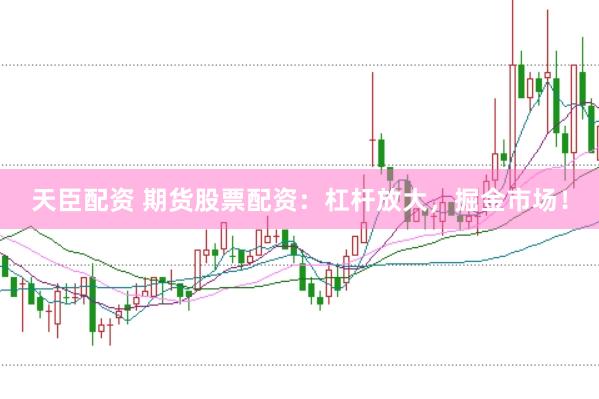 天臣配资 期货股票配资：杠杆放大，掘金市场！