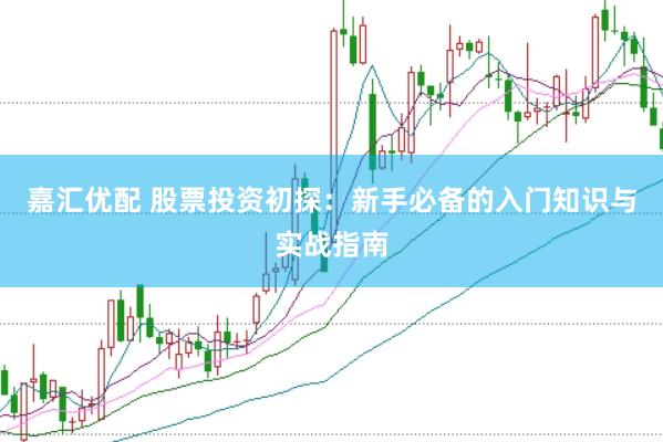 嘉汇优配 股票投资初探：新手必备的入门知识与实战指南