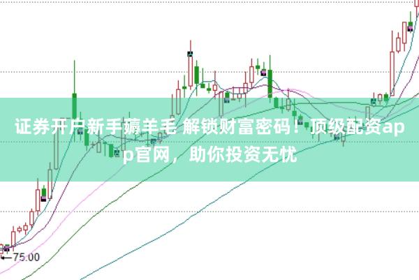 证券开户新手薅羊毛 解锁财富密码！顶级配资app官网，助你投资无忧