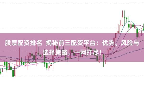 股票配资排名 揭秘前三配资平台:优势、风险与选择策略,一网打尽!