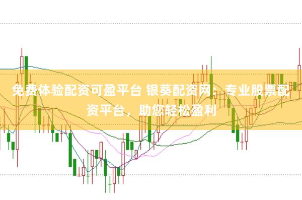 免费体验配资可盈平台 银葵配资网：专业股票配资平台，助您轻松盈利
