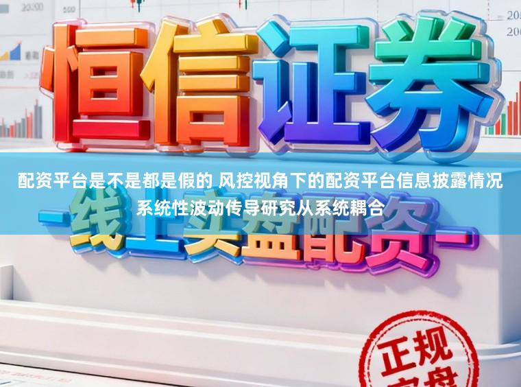 配资平台是不是都是假的 风控视角下的配资平台信息披露情况系统性波动传导研究从系统耦合